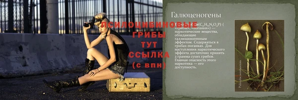 spice Киренск