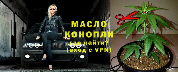 дурь Инта