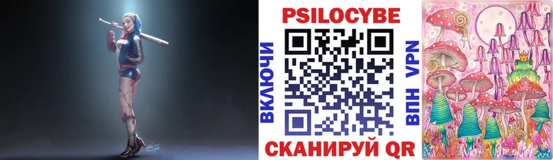 Купить  Купино  Галлюциногенные грибы мицелий 