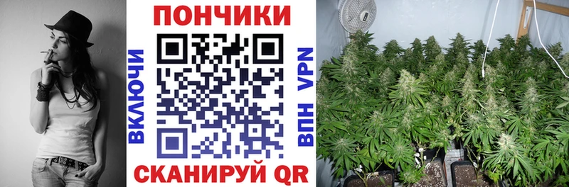 Купить где  Купино  Бошки Шишки план 
